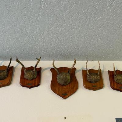 Sale Photo Thumbnail #28: Antlers
