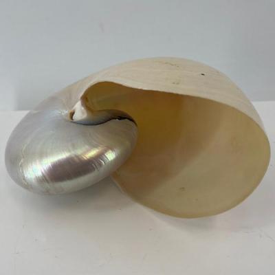 Sale Photo Thumbnail #21