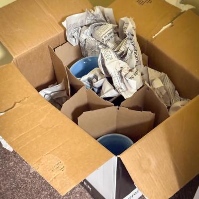 Kitchen Cups & Mugs Mystery Box #2