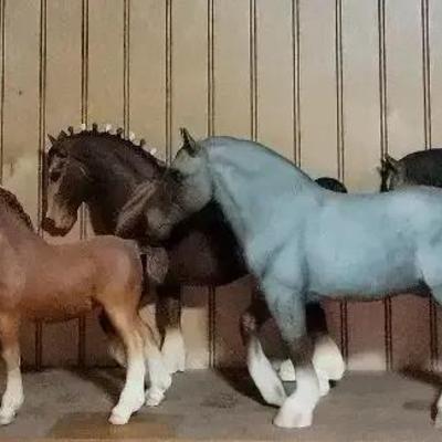 Horses