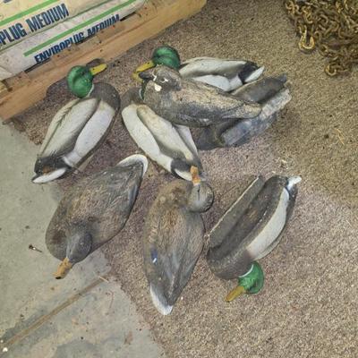 Sale Photo Thumbnail #142
