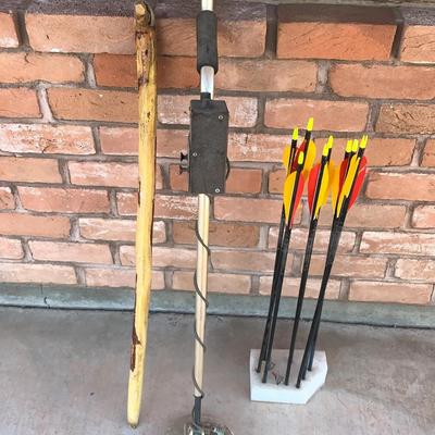 Metal Detector Arrows And Cane 