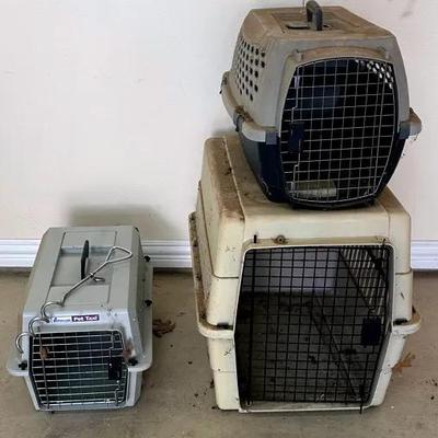 BJ166 3 - Doggy/Cat Traveling Cabs
