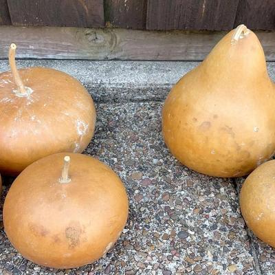 Set of 4 Gourds & Set of 3 Faux Pumpkins