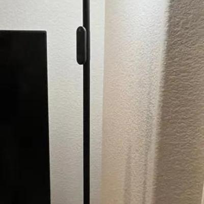 Trotronics LED Black Floor Lamp with Remote - Works