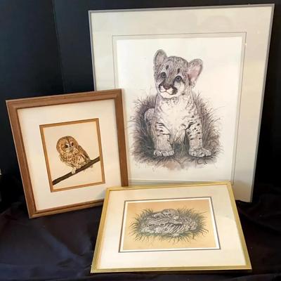 Wildlife Collection By Jacquie Marie Vaux Featuring Young Cougar
