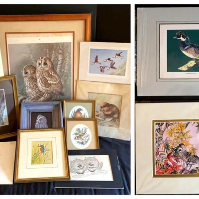 Wildlife Art Prints Featuring “The Tawny Owl” & Songbirds of the World