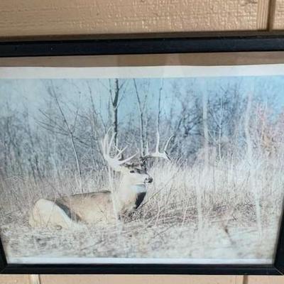 Sale Photo Thumbnail #132