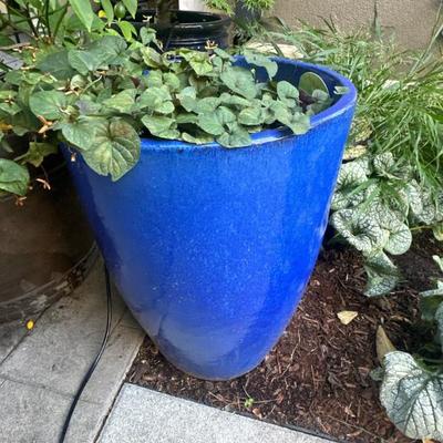 Pots