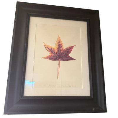 Sale Photo Thumbnail #20