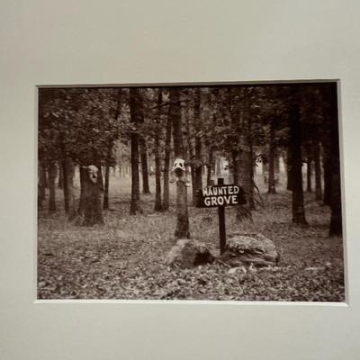 Sale Photo Thumbnail #274