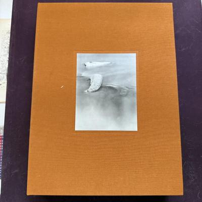 Sale Photo Thumbnail #290