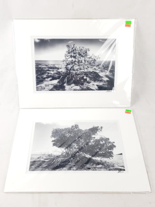 Sale Photo Thumbnail #260