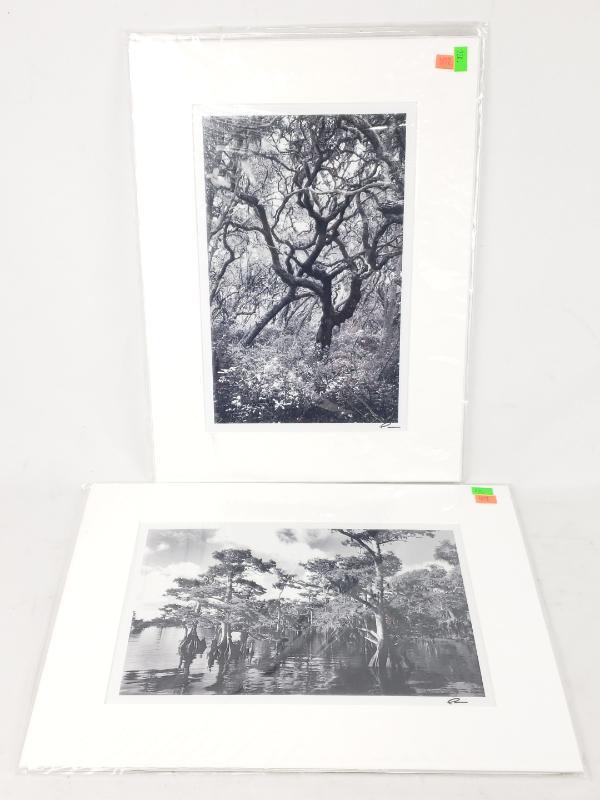 Sale Photo Thumbnail #241