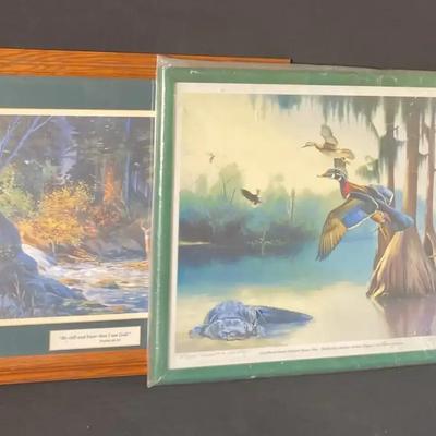 Wildlife Art Prints 