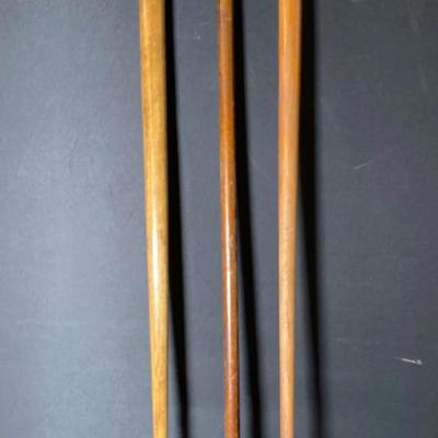 Walking Sticks 2