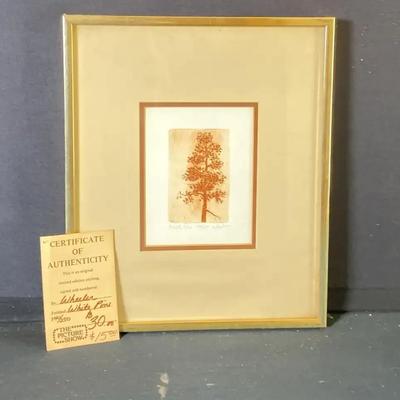 "White Pine" Etching by Wheeler 