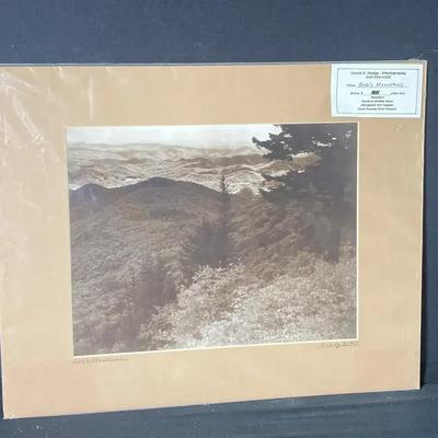D.C Hodge Photograph 