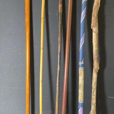 Walking Sticks 1