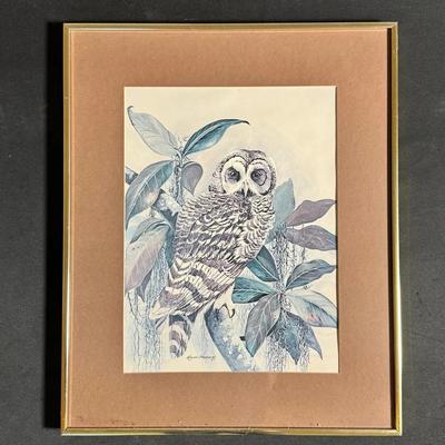 Deland Brewsaugh Owl Print