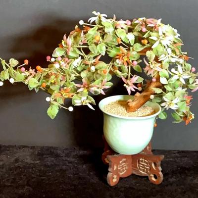 Jade Like Bonsai Tree