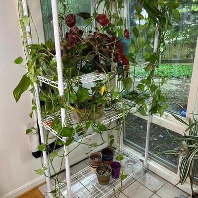 White Wire InterMetro Shelving Unit - 36x14x63”