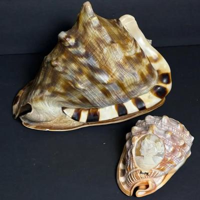 Signed Italian Cameo Conch Shell 5” Plus Giant Conch Shell 8”