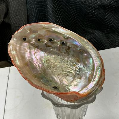 Large Natural Abalone Shell