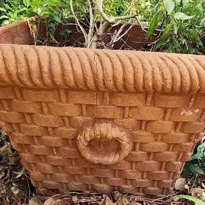 Terracotta Pot 