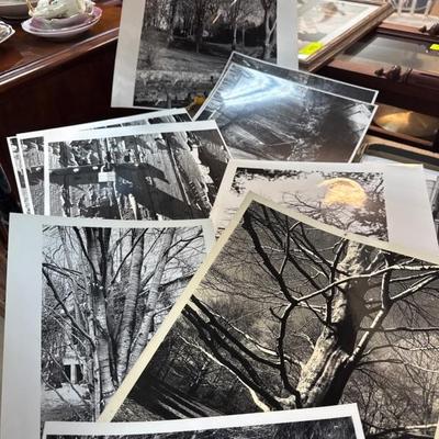 Sale Photo Thumbnail #292