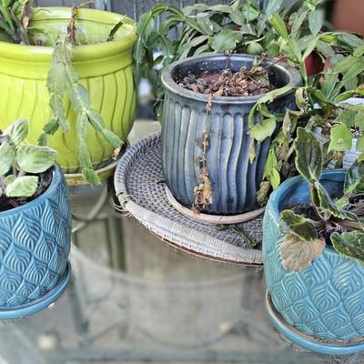 Glazed Flower Pots