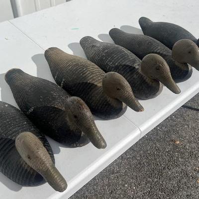Six Vintage Victor Duck Decoys  