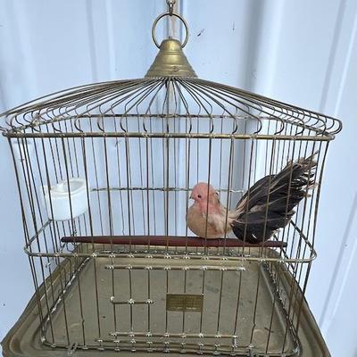 Hendryx Quality Brass Bird Cage. With realistic bird
