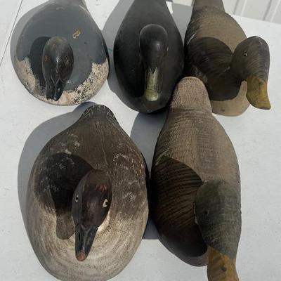 Five Vintage Duck Decoys  
