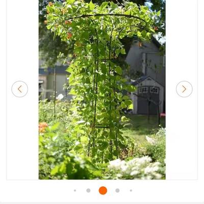 Sale Photo Thumbnail #358