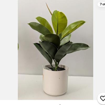Sale Photo Thumbnail #934
