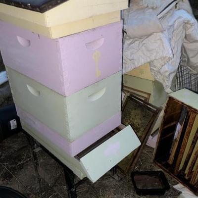Sale Photo Thumbnail #180