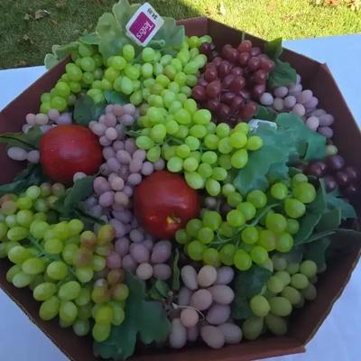 Assorted Artificial Fruit