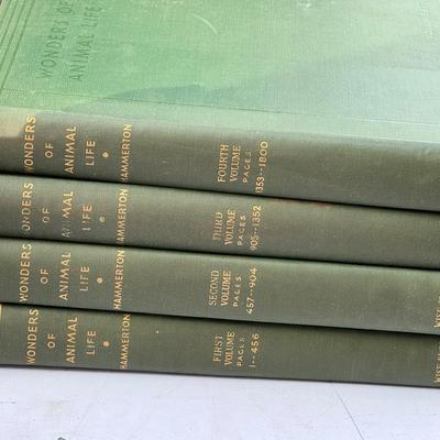 (4) Wonders of Animal Life by J.A. Hammerton (Complete 4-Volume Set)