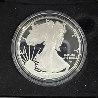 2024-W US Mint Proof Silver 1oz Proof Eagle with COA