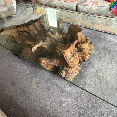 Burl coffee table