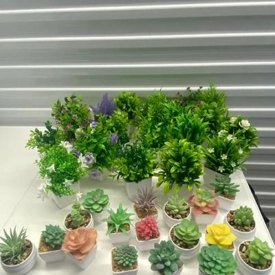 Faux Plants And Succulents Perfect For Wedding Or Business 