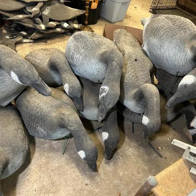 Lot Of Goose Decoys 