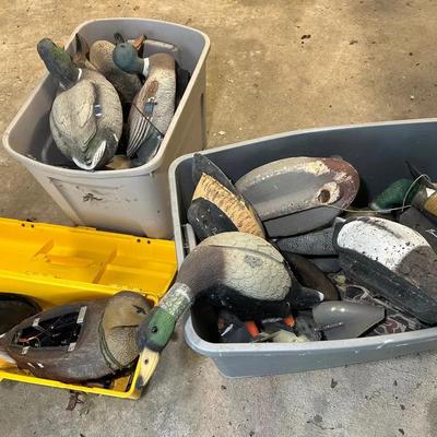 Group Of Duck And Mallard Decoys 
