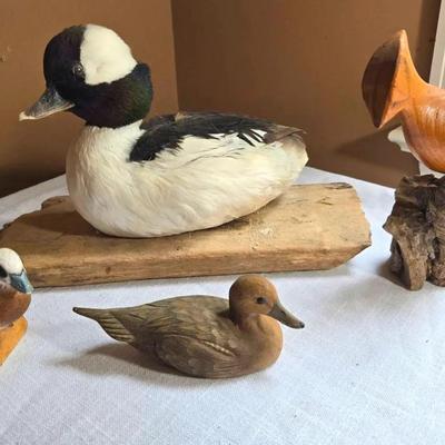 Taxidermy Duck & 3 Handmade Birds Decor
