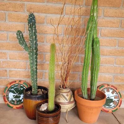 Southwestern Pots #1