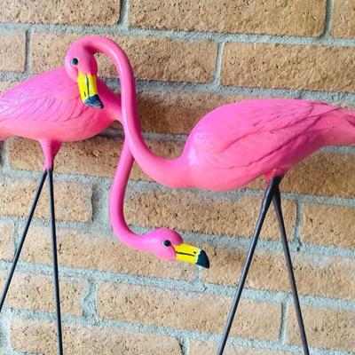 Pink Flamingos, Frogs & Turtles