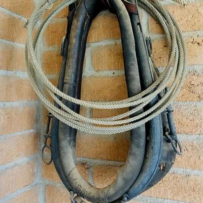 Antique Leather Horse Harness