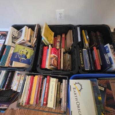 Sale Photo Thumbnail #331