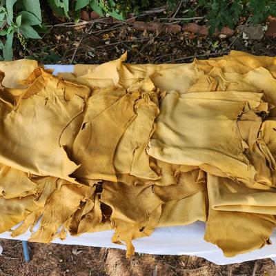 Buckskin Leather